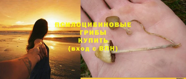 хмурый Абинск